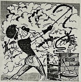 Cartoon accompanying the column: Carol tends a smoking braai, wearing goggles and a cloth over her nose.
