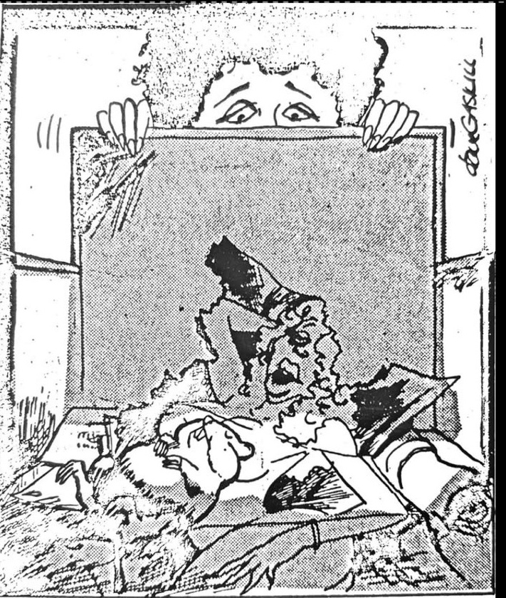 Cartoon accompanying the column: Carol peering over the top of a hamster cage at Horace laid out in a sickbed, nightcap on, a hot-water bottle beside him.