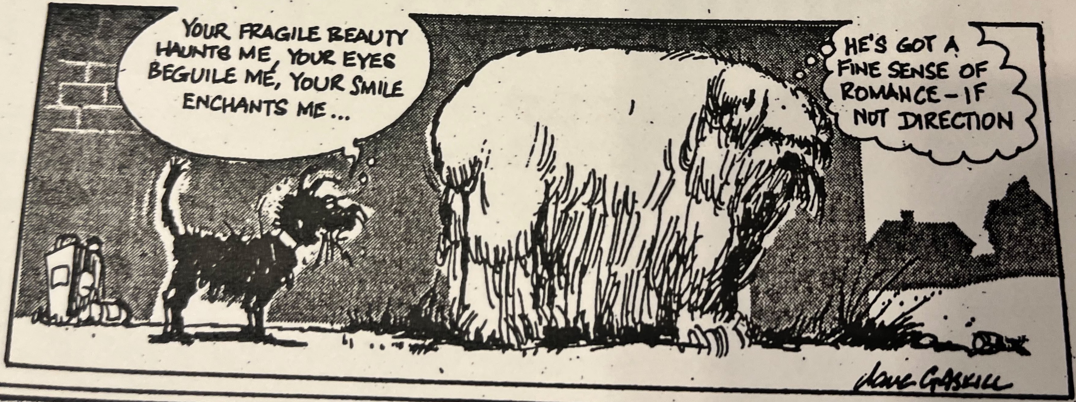 Cartoon accompanying the column: “Your fragile beauty haunts me, your eyes beguile me, your smile enchants me …” “He’s got a fine sense of romance - if not direction.” Henry courts a much larger shaggy dog.