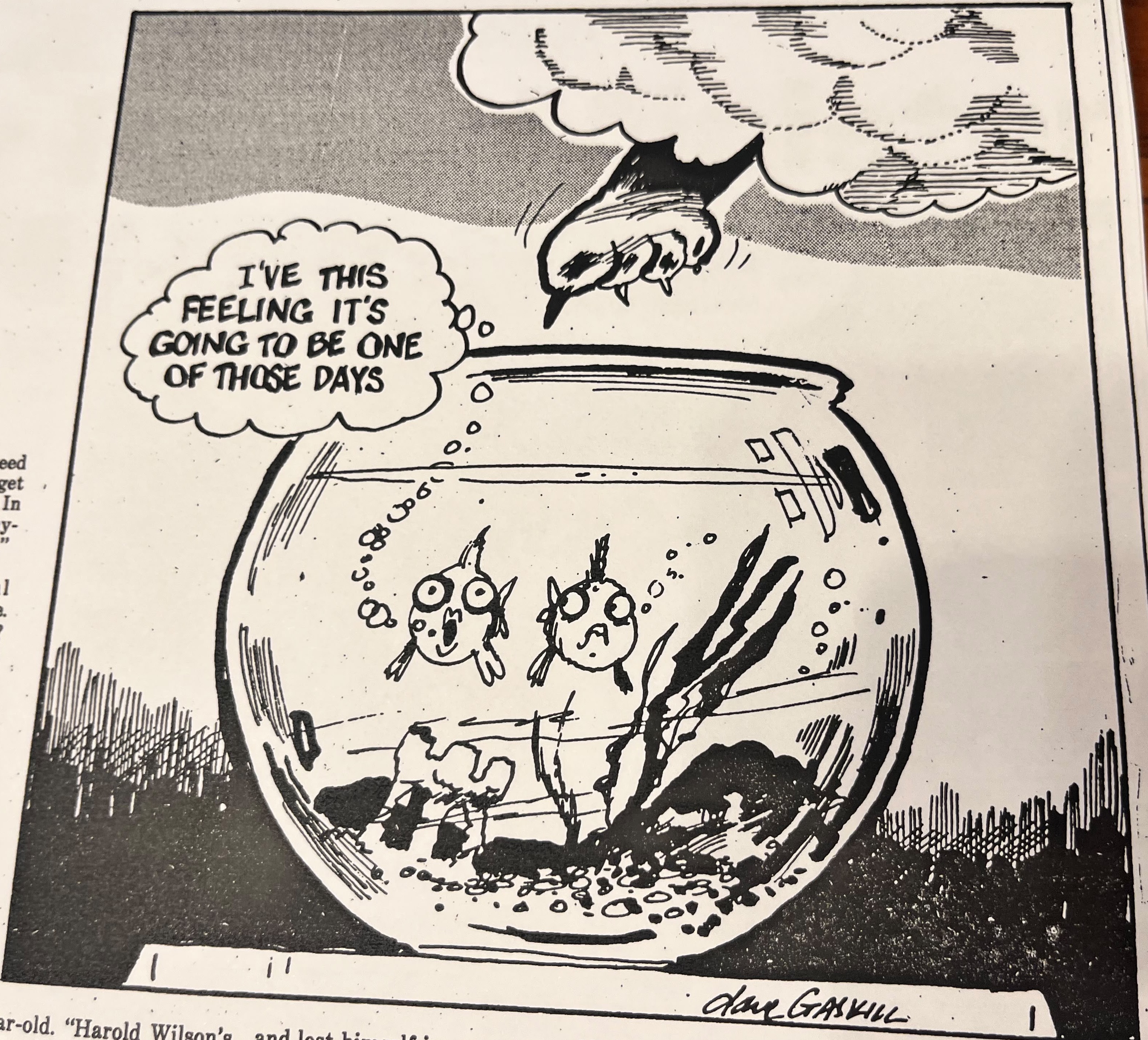 Cartoon accompanying the column: “I’ve this feeling it’s going to be one of those days.” Two fish watch a cat’s paw descend towards their bowl.