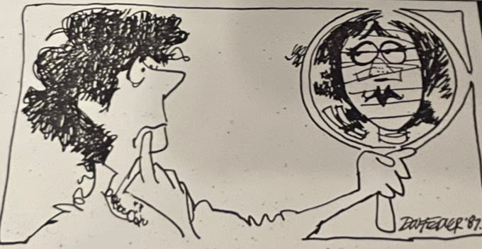 Cartoon accompanying the column: Carol holding up a hand mirror after the renovation job, and the face that looks back at her out of the glass.